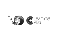 CLEANING CARS | Nettoyage de voitures à domicile à Genève